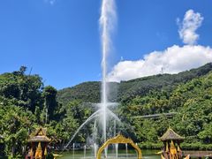 -西双版纳原始森林公园