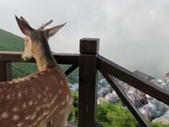 -萍乡武功山风景名胜区