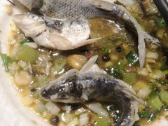 -香坝坝鲜鱼火锅(春熙路店)
