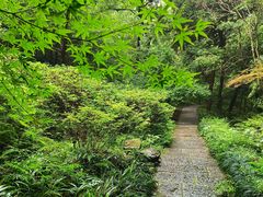 -杭州植物园