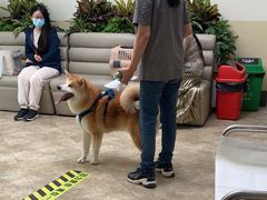 -美联众合动物医院·24h转诊中心