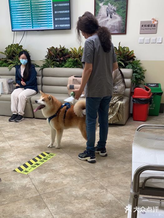 美联众合动物医院·24h转诊中心图片