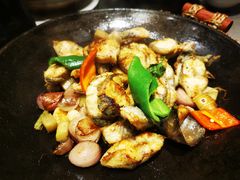 -张家卫·阳江菜·小海鲜(肥婆湾桥店)