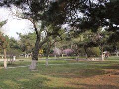 -辽宁大学(崇山校区)