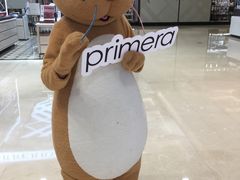 -新世界大丸百货