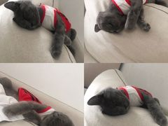-东门町美食街