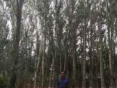 -艾提尕尔清真寺