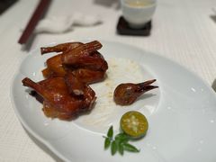 生炸脆皮皇鸽子-金悦轩海鲜酒家(拱北店)