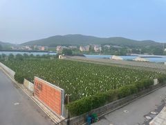 -大连北马山庄