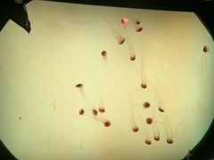 -沈阳海洋探索中心