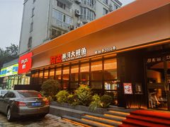 -阿五黄河大鲤鱼(英协路店)