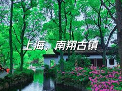 -南翔古镇