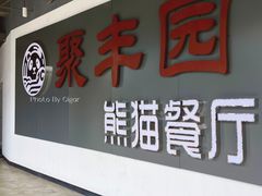 -聚丰园熊猫餐厅(紫金1912·玖爱谷店)