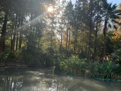 -苏州河梦清园环保主题公园