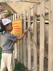 -萌宠亲子动物乐园(槐房万达店)