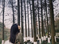 -重庆彩云湖湿地公园