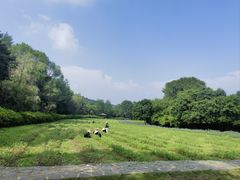 -萨尔浒风景区