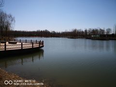 -东郊湿地公园