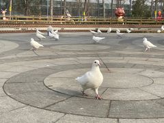 -南宫五洲植物乐园