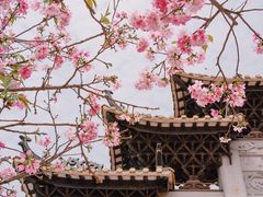 -宝墨园景区