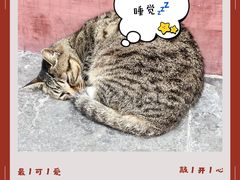 -西园寺素食(西园弄戒幢律寺店)
