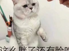 -渝和喵叔米线(南坪万达店)