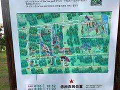 -黄海国家森林公园