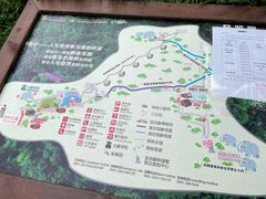 -野象谷景区