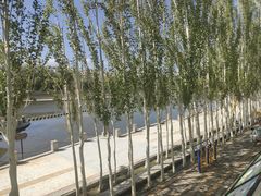 -党河风情线国家水利风景区