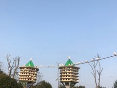 -南昌之星游乐场