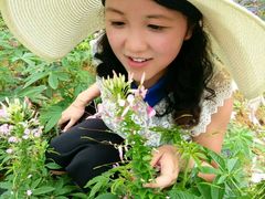 -紫颐香薰山谷景区