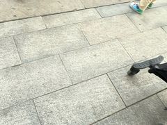 -潜山国家森林公园
