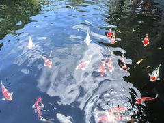 -香麒园·过桥米线·南湖雅宴