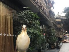 -琬苑鸽庄·川粤融合菜(解放碑总店)