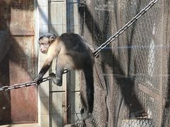 -昆明动物园