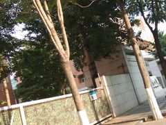 -北京八中游泳馆