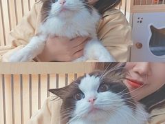 -猫宠乐园·专业洗护