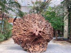 -龙达温泉生态城