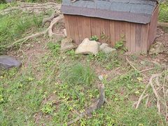 -野象谷景区