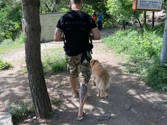 -阳台山自然风景区