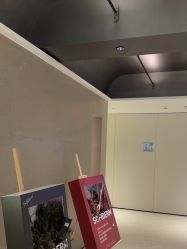 -上海时光整形外科医院