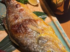 -阿吾罗日本料理(K11艺术中心店)
