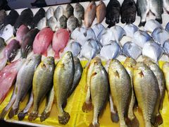 -三旗百汇商品城