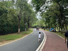 -凤岗南门山森林公园