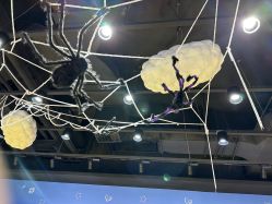 -皇家迪智尼(大融城店)