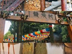 -云南民族村
