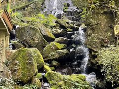 -藏龙百瀑风景区