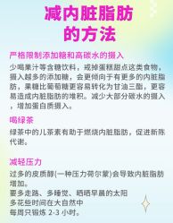 -Fundi张玉珊修身堂·indiba·BTL科技瘦身