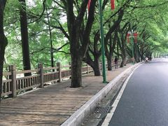 -渝大龙重庆火锅(温泉月亮湾店)
