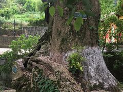 -缥缈峰景区